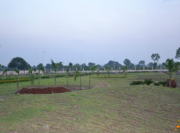 Gardencity - Construction Update