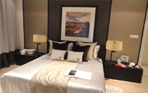 DLF Riverside - Latest Features