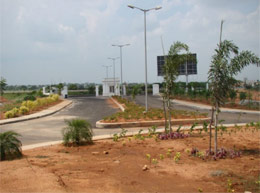 Gardencity - Construction Update