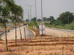 Gardencity - Construction Update