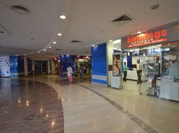 DLF South Point - Features
